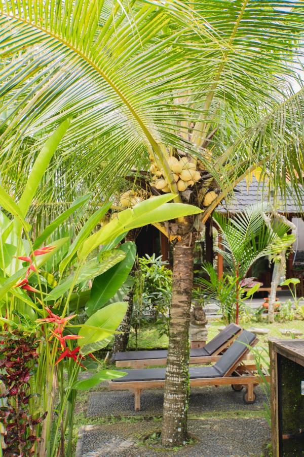 Mancur Guesthouse Ubud Exteriör bild