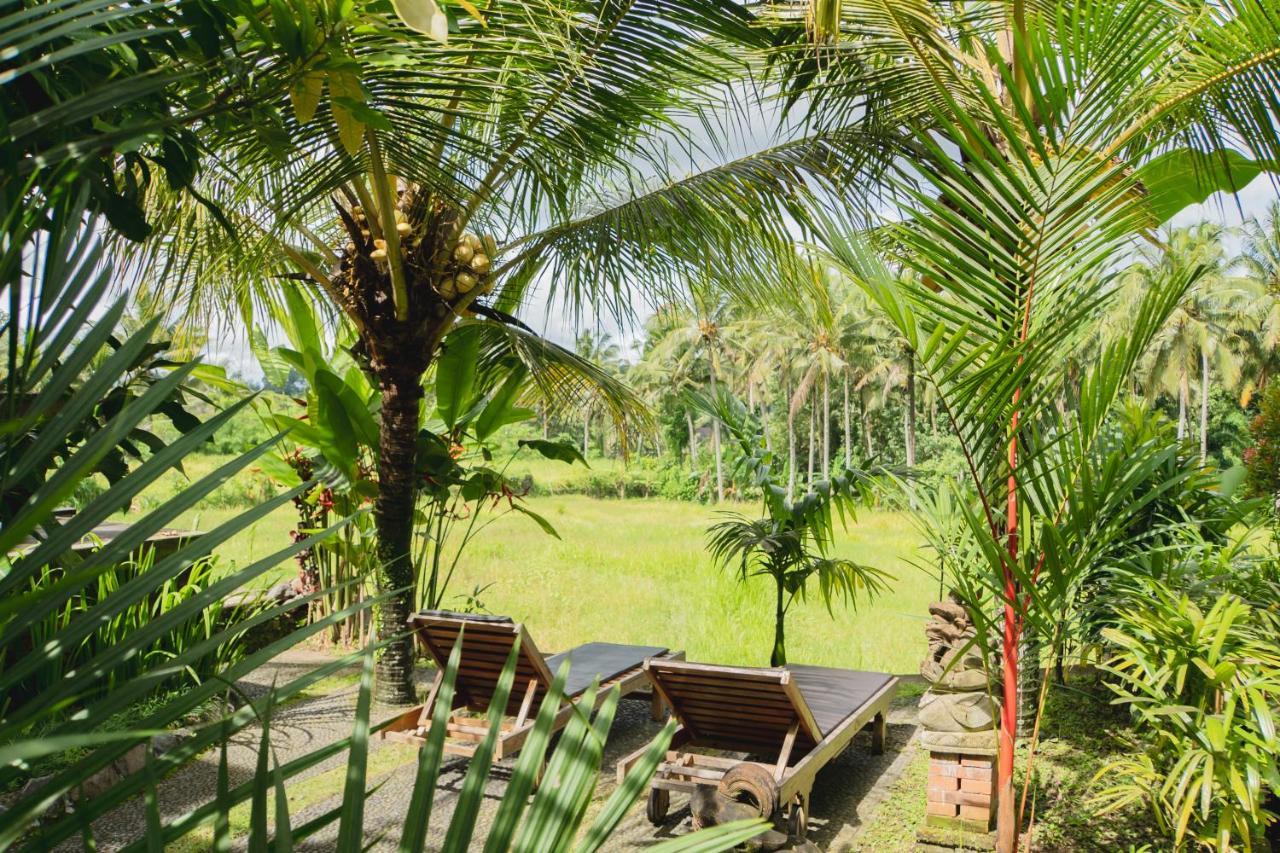 Mancur Guesthouse Ubud Exteriör bild