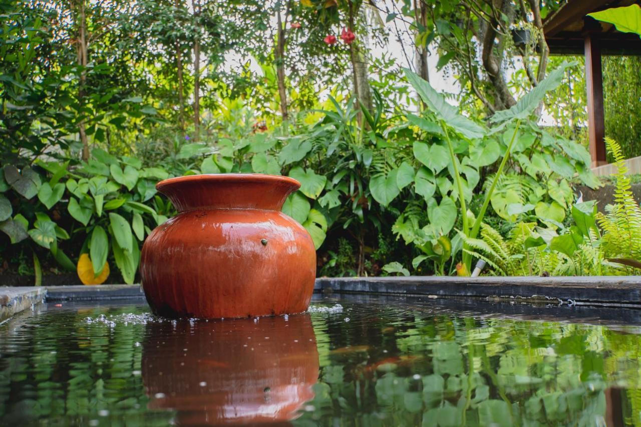 Mancur Guesthouse Ubud Exteriör bild