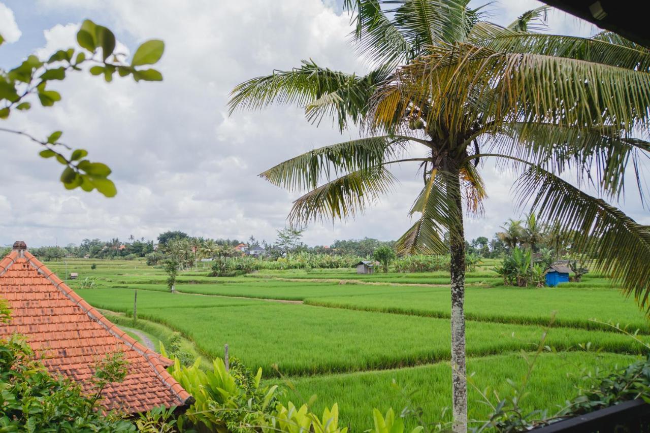 Mancur Guesthouse Ubud Exteriör bild