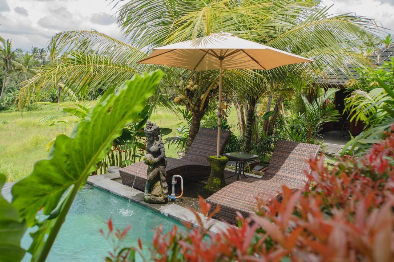 Mancur Guesthouse Ubud Exteriör bild