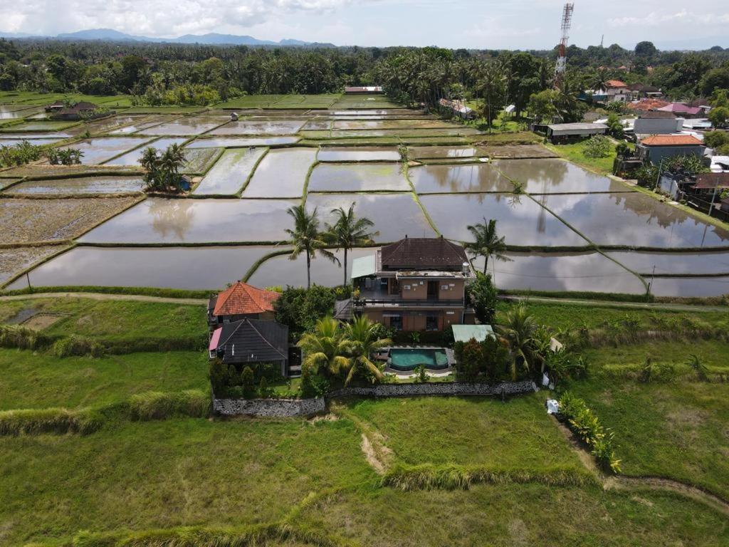 Mancur Guesthouse Ubud Exteriör bild